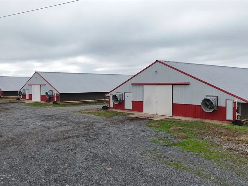 10 House Poultry Farm for Sale : Simsboro : Lincoln Parish : Louisiana