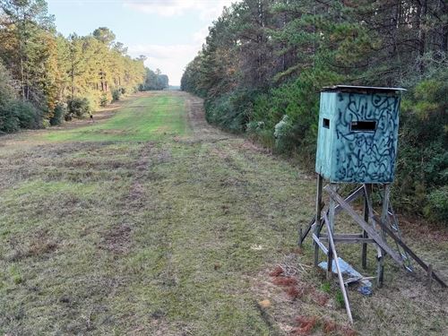 Prime Hunting Property in St Helena : Greensburg : Saint Helena Parish : Louisiana