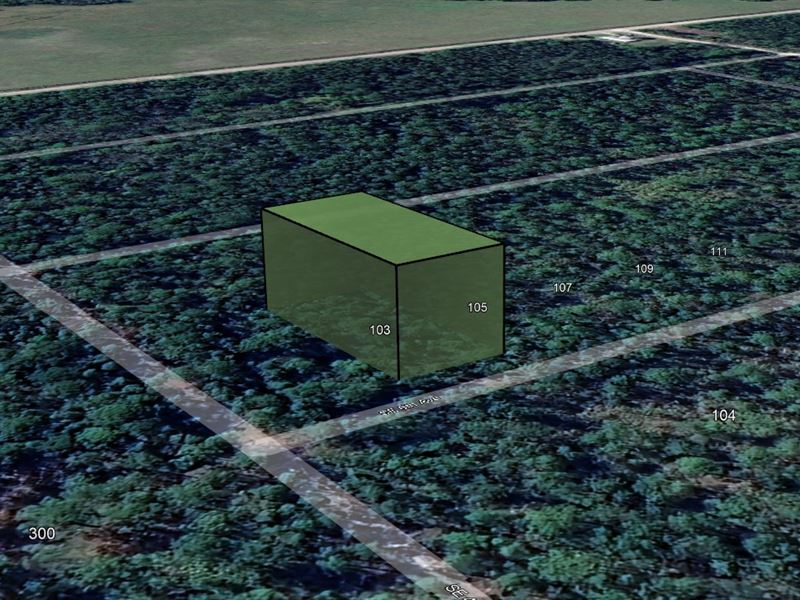 Black Friday Steal $99 Down : Federal Point : Putnam County : Florida