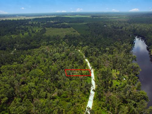 Homesite Close to Springs and Parks : Live Oak : Suwannee County : Florida