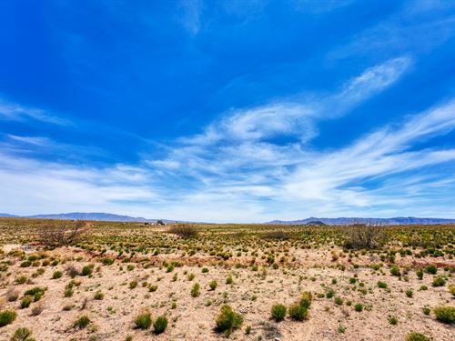 Free Of Planning & Zoning : Belen : Socorro County : New Mexico