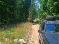 Simple, Usable RV Lot : Williford : Sharp County : Arkansas