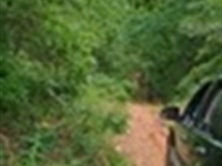 Live Free on Your Own Land : Williford : Sharp County : Arkansas