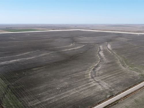 Two Wide Dryland 511 : Wallace : Kansas