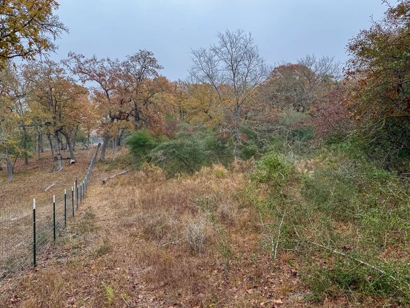 30 Acres, Jack Rabbit Lane : Bryan : Robertson County : Texas