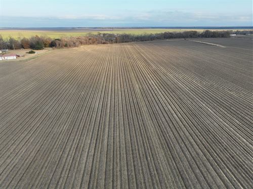 Louise Farm : Louise : Humphreys County : Mississippi