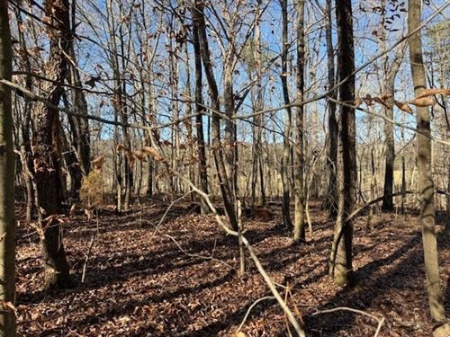 5.03 Acres Unrestricted Wooded Pr : Valley Head : Dekalb County : Alabama