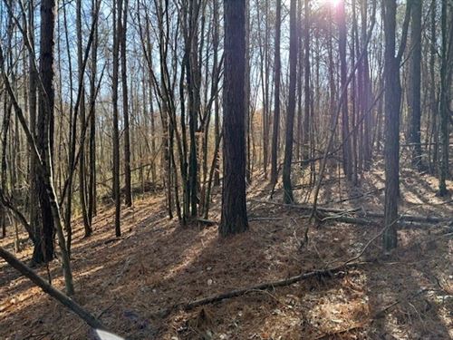 2.40 Acres Unrestricted Wooded pr : Valley Head : Dekalb County : Alabama