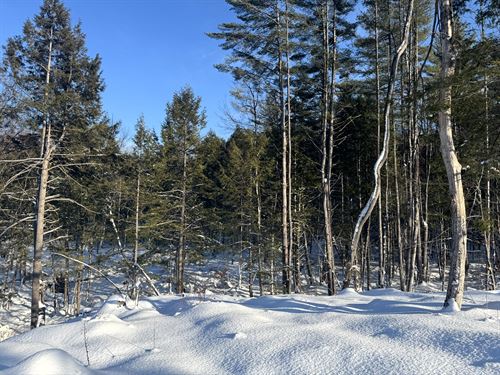 Corner Building Site : Camden : Oneida County : New York