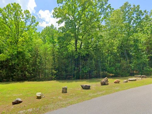 Peaceful Corner Lot Near Everything : Horseshoe Bend : Izard County : Arkansas