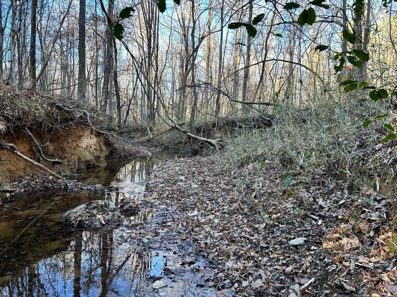 Heelsplitter Tract : Lancaster : Lancaster County : South Carolina