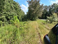 No-Frills RV Lot : New Concord : Calloway County : Kentucky