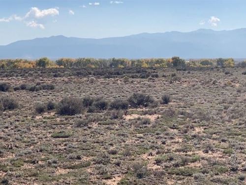 Are You Looking for Land in Colorad : San Luis : Costilla County : Colorado