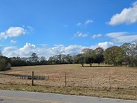 12.5 Acres, Walthall County, MS : Tylertown : Walthall County : Mississippi