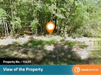Beautiful 0.5 Acre Land in Texas : Orange : Texas