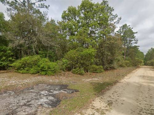 Escape The Snow and Buy in Florida : Satsuma : Putnam County : Florida