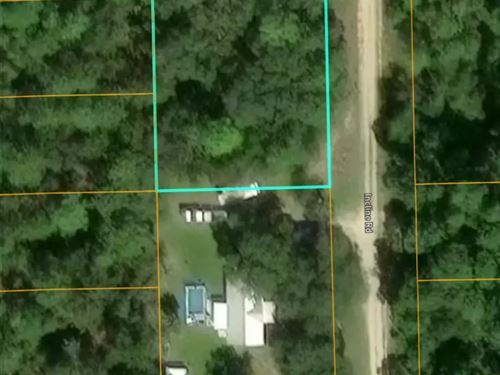 Fuja da Neve e Compre na Florida : Satsuma : Putnam County : Florida