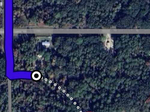 .46 Acre Lot in Georgetown FL : Georgetown : Putnam County : Florida