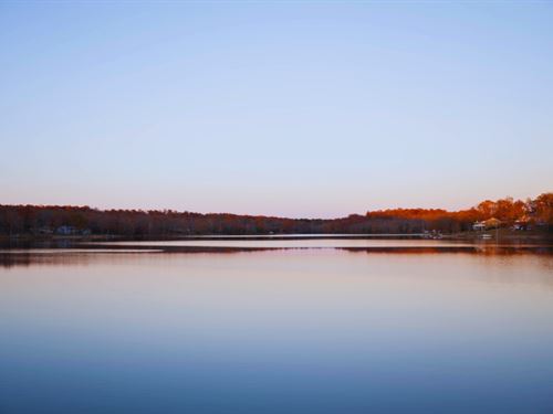 Rare Izard 0.93 Ac, Near Lakes : Horseshoe Bend : Izard County : Arkansas