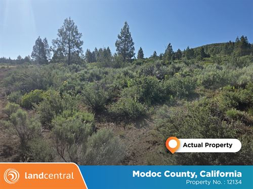 .985 Acre in Modoc, CA : Modoc : California