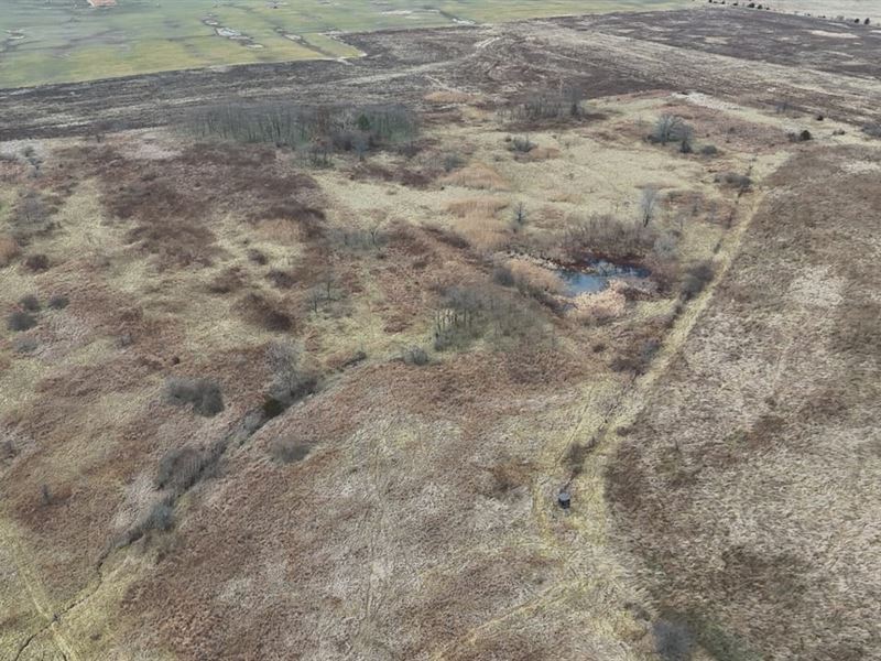 Trinity Ave. 80 : West Terre Haute : Vigo County : Indiana