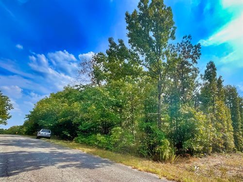 Land for Those Who Live Outdoors : Horseshoe Bend : Izard County : Arkansas