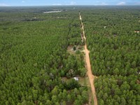 Escape to Florida with Your Own Lot : Interlachen : Putnam County : Florida