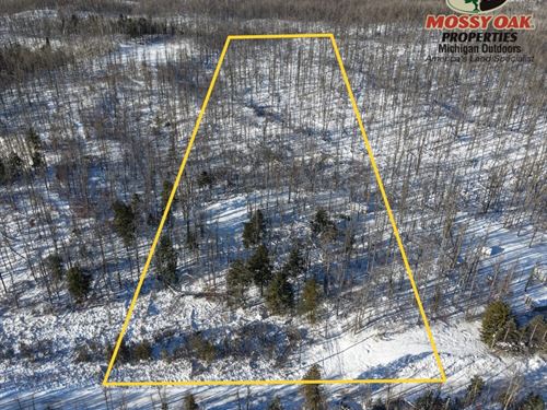 Nearly 10 Open Acres in Michigan's : Atlanta : Montmorency County : Michigan