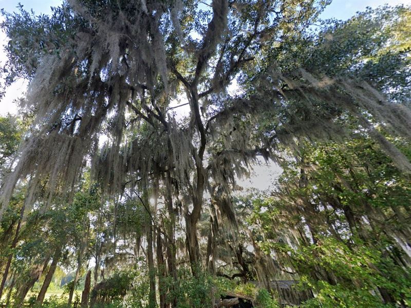 Blowout Madness $99 Down : Federal Point : Putnam County : Florida