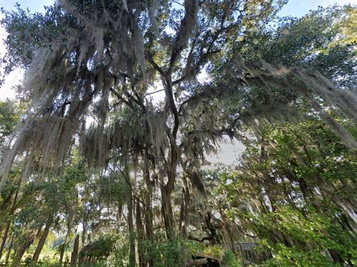 Blowout Madness $99 Down : Federal Point : Putnam County : Florida