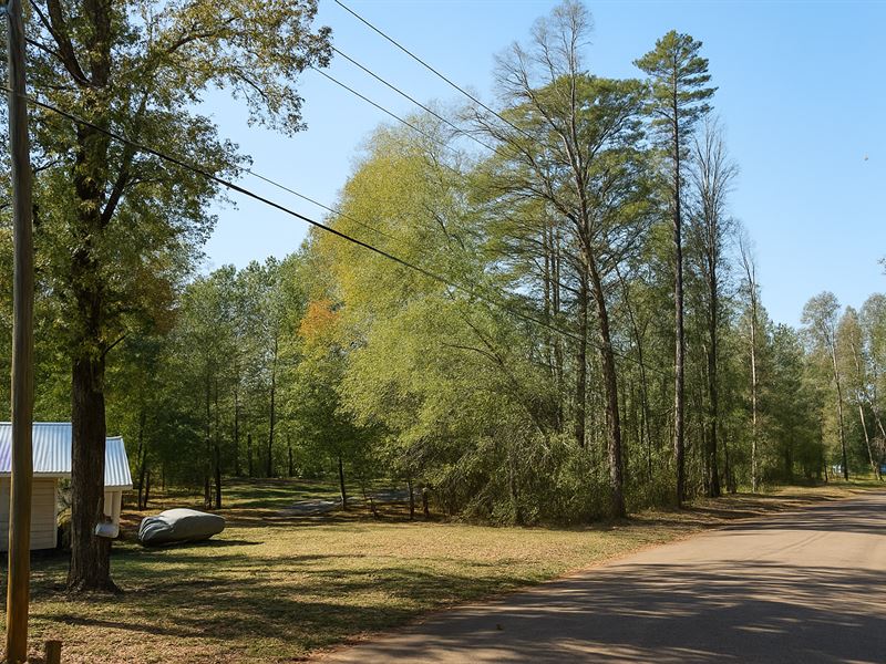 .64 Acre Vacant Lot, Brandon, MS : Brandon : Rankin County : Mississippi