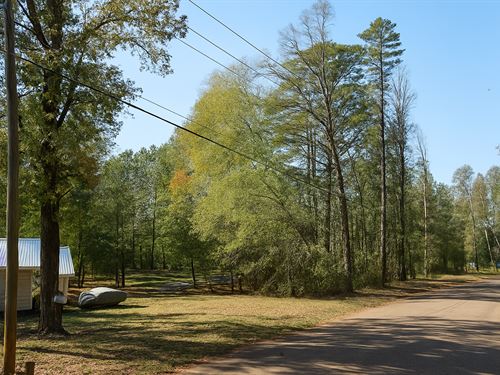 .64 Acre Vacant Lot, Brandon, MS : Brandon : Rankin County : Mississippi