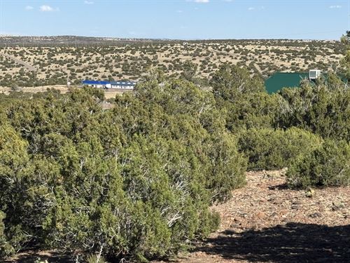 Build Atop a Hill with Scenic Views : Concho : Apache County : Arizona