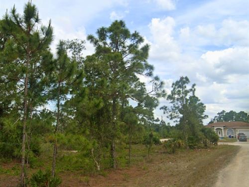 No HOA, Owner Financing, Near River : Lehigh Acres : Lee County : Florida