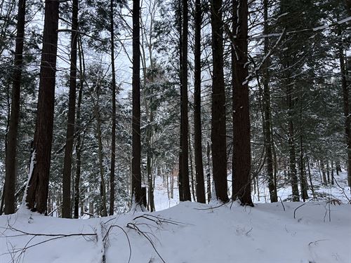 Off The Grid Recreational Property : Constantia : Oswego County : New York