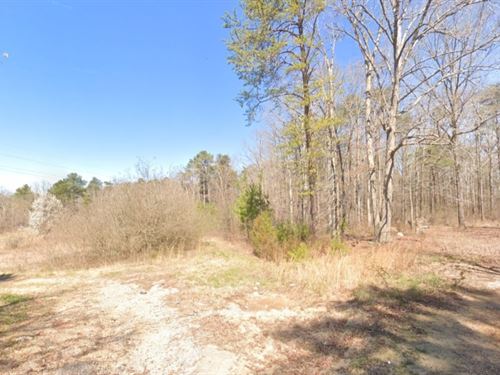 Quiet 1 Acre in Birmingham Alabama : Birmingham : Jefferson County : Alabama