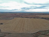 Elmo & Doyle Neiman Co Neb Auction : Curtis : Frontier County : Nebraska