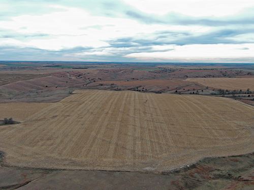 Elmo & Doyle Neiman Co Neb Auction : Curtis : Frontier County : Nebraska
