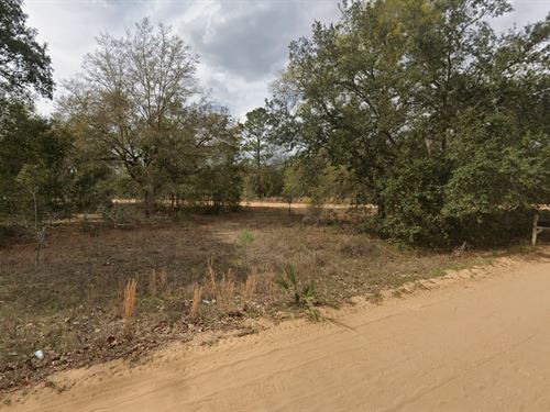 Buy Land, Relax Later, Brag Forever : Interlachen : Putnam County : Florida