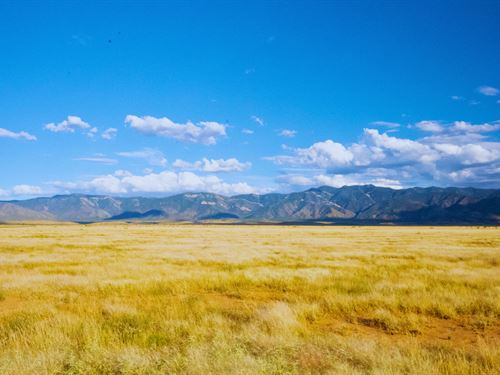 Quiet 0.50 Acres, Valencia NM : Belen : Valencia County : New Mexico