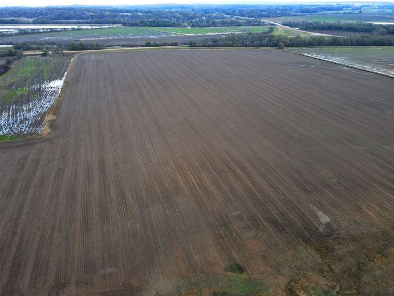 170 Acres in Tunica County, MS : Tunica : Tunica County : Mississippi