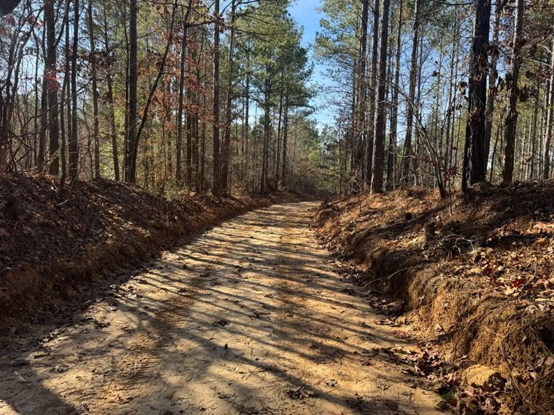 194 Acres in Lafayette County, MS : Oxford : Lafayette County : Mississippi