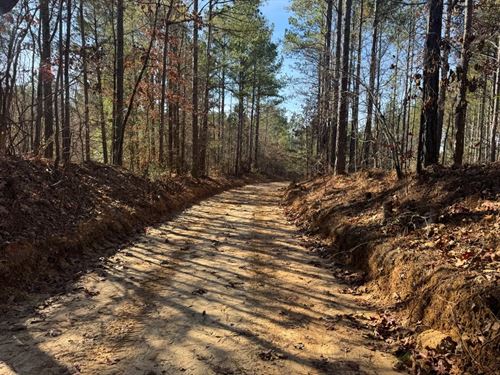 194 Acres in Lafayette County, MS : Oxford : Lafayette County : Mississippi