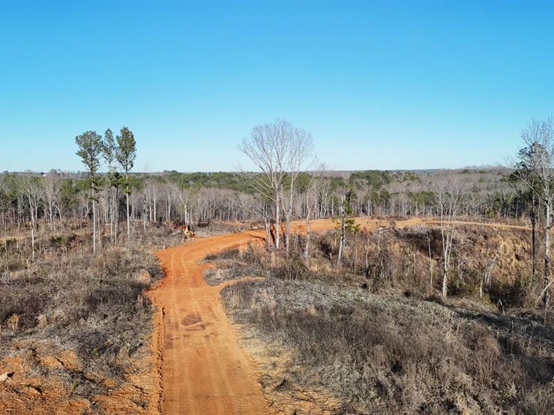 44.3 Acres in Union County, MS : New Albany : Union County : Mississippi