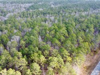Turkey Pen Road Tract 3, 13 Ac : Cragford : Clay County : Alabama
