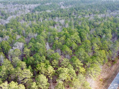 Turkey Pen Road Tract 3, 13 Ac : Cragford : Clay County : Alabama