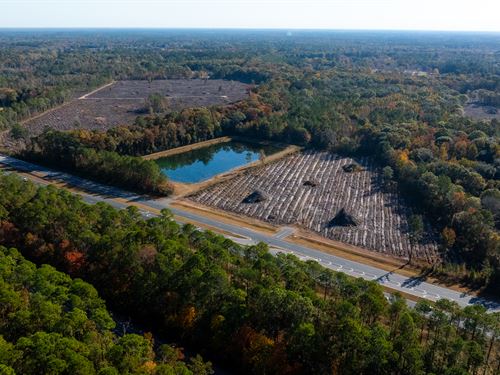 Swallowfork Acreage : Callahan : Nassau County : Florida