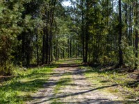 Meadows Prime Opportunity : Callahan : Nassau County : Florida