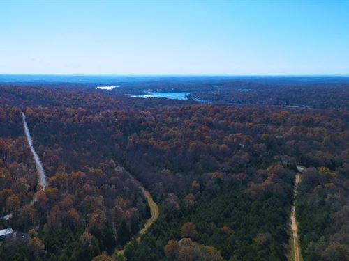 .31 Acres Near Lakes, AR : Horseshoe Bend : Izard County : Arkansas