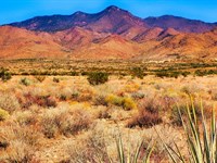 Unlock RV Freedom : Golden Valley : Mohave County : Arizona